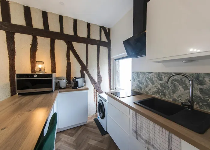 公寓 Hyper Center Of 图尔